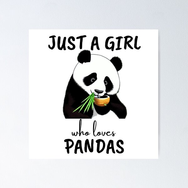 Drôle de panda, proverbe sur les pandas comme cadeau