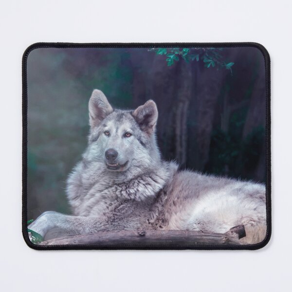 Item preview, Wolfdog 2 designed and sold by Darren Wilkes Wildlife UK.