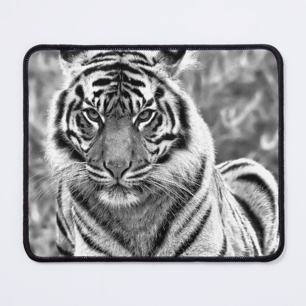Item preview, Pure Beauty 2 designed and sold by Darren Wilkes.