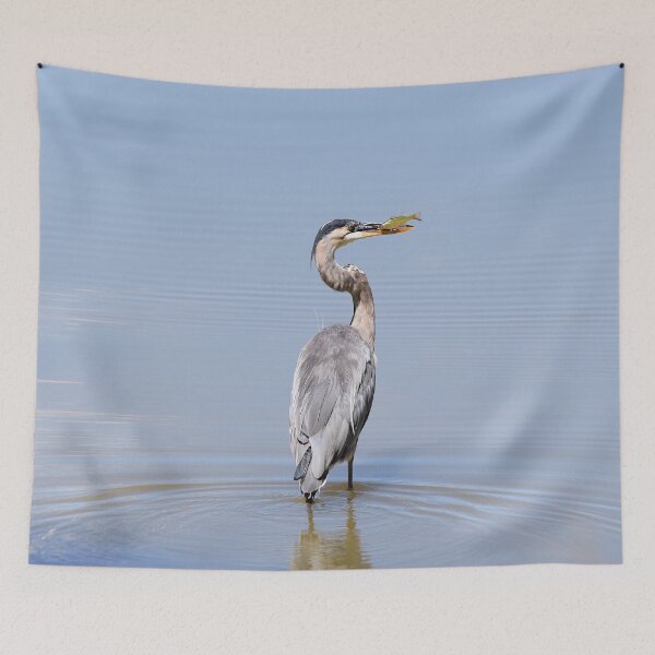 Item preview, Great Blue Heron Fishing - I designed and sold by AlsknMommaBear2.