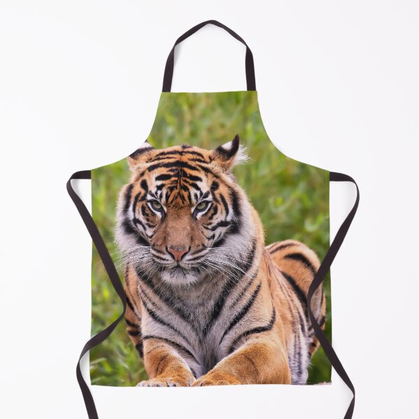 Item preview, Beauty In Colour 2 designed and sold by Darren Wilkes.