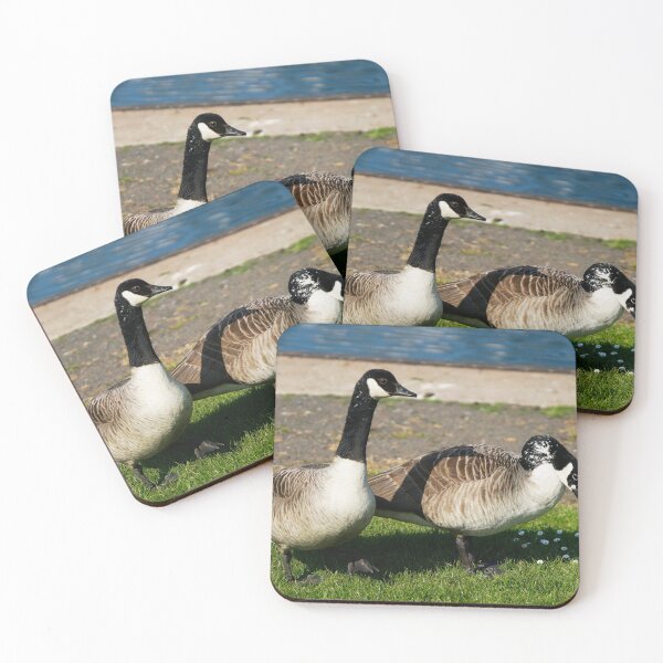 Item preview, Duck walk in the sun designed and sold by hillydevon.