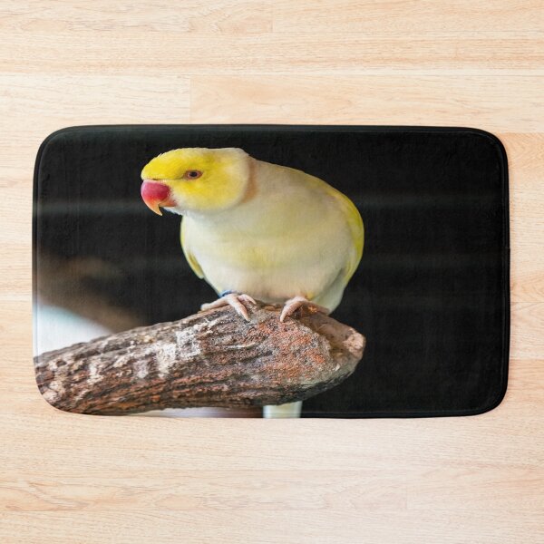 Item preview, Indian Ringneck Parakeet designed and sold by oxyten.