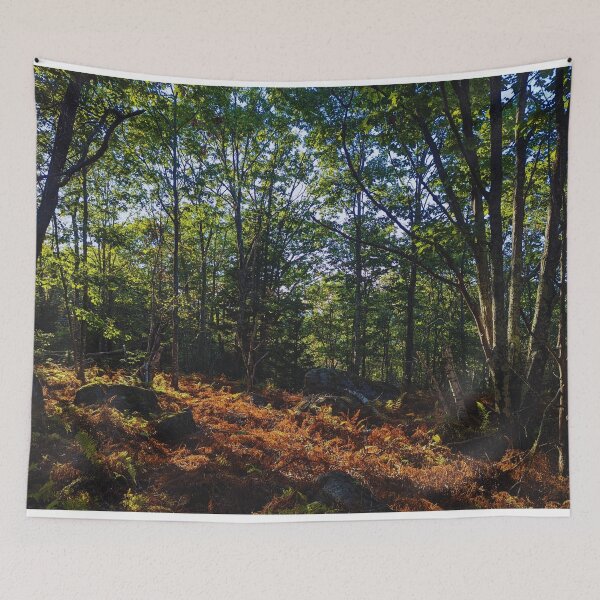 Item preview, Ember Glen designed and sold by 9Amaryllis6.