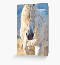 Old Man of the Desert-tight crop Greeting Card