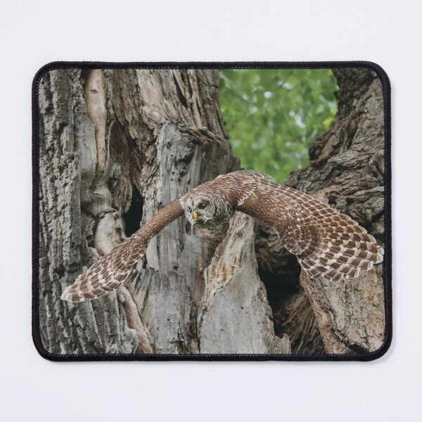 Item preview, Elegant Flying Wonder designed and sold by Puttaswamy Ravishankar.