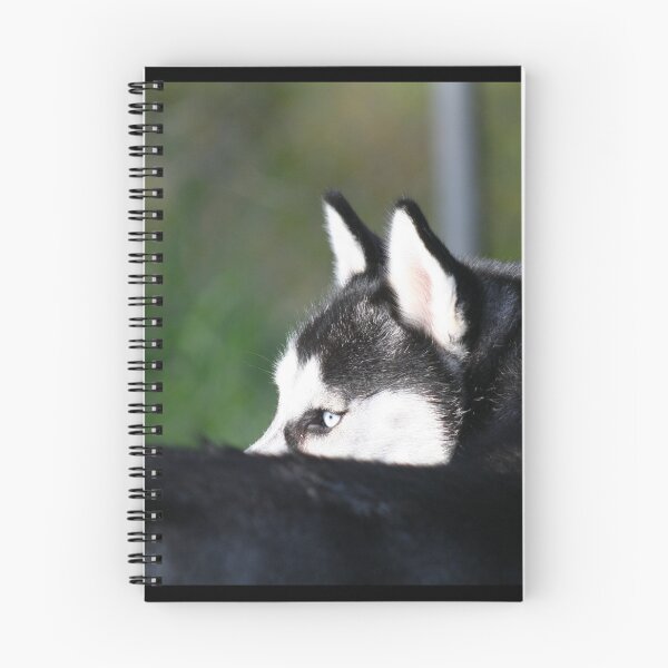 Item preview, Siberian Husky designed and sold by ritmoboxers.