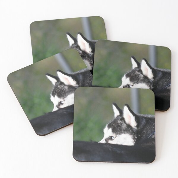 Item preview, Siberian Husky designed and sold by ritmoboxers.