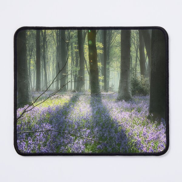 Item preview, Bluebell Wood #1 - Hampshire designed and sold by martin bullimore.