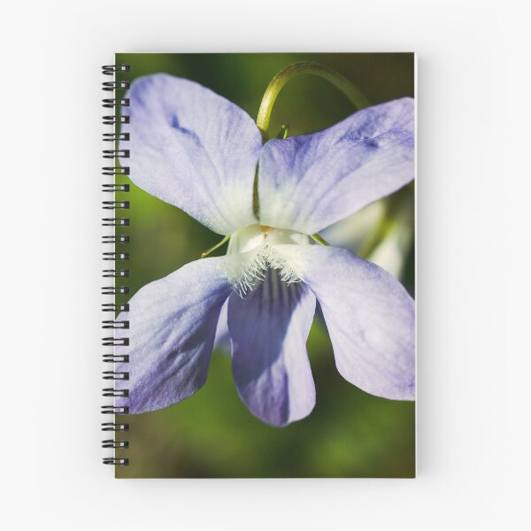 Item preview, Violet flower designed and sold by Milan Latta.