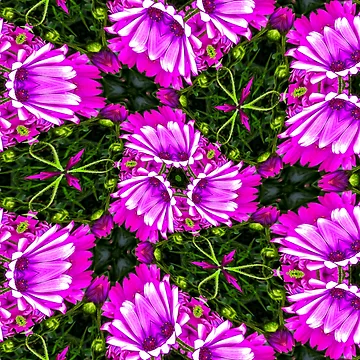 Artwork thumbnail, Pink Daisy Pattern by Patternflower