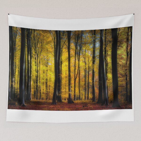 Item preview, Autumn Wood designed and sold by martin bullimore.