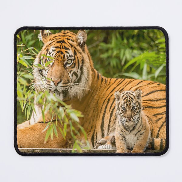 Item preview, My Mum Is Watching You designed and sold by Darren Wilkes.
