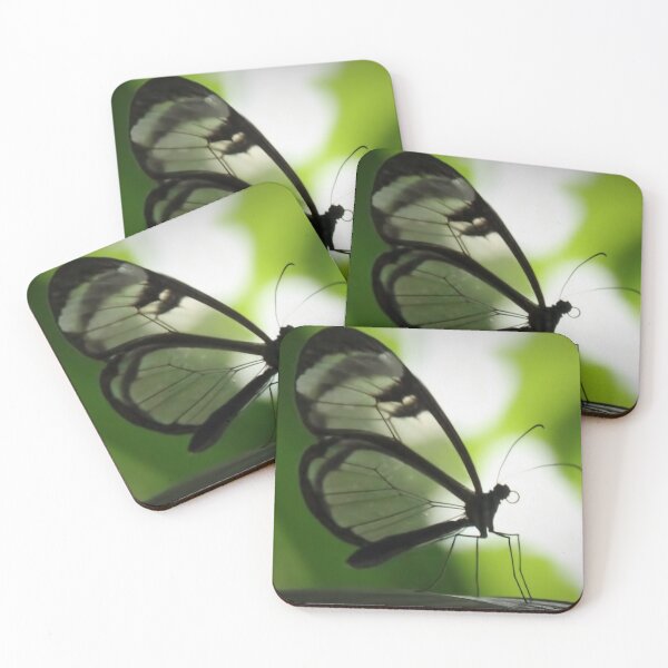 Item preview, Glasswing Butterfly designed and sold by martin bullimore.