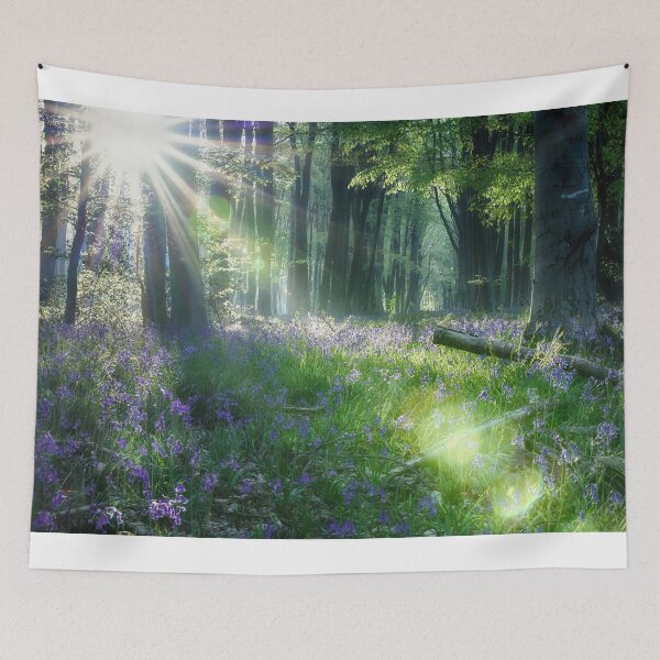 Item preview, Magical Forest designed and sold by martin bullimore.