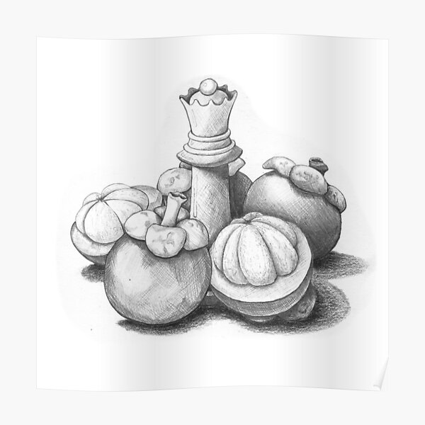 Mangosteen Graphite Pencil Art 1 Poster