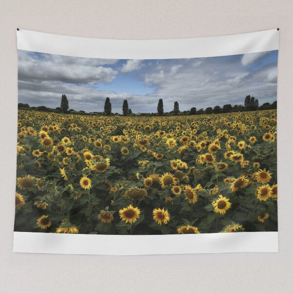 Item preview, Sunflower field designed and sold by martin bullimore.