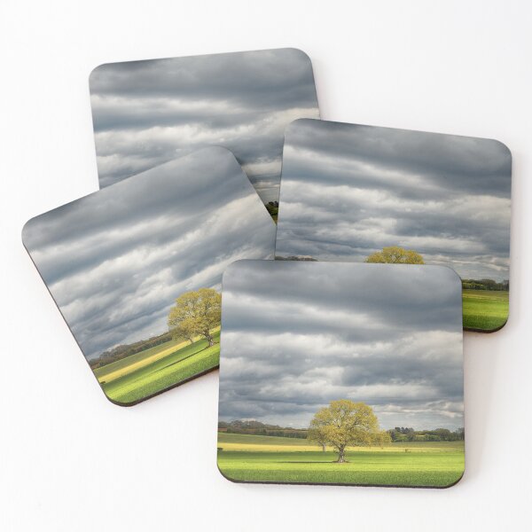 Item preview, Hampshire Tree designed and sold by martin bullimore.