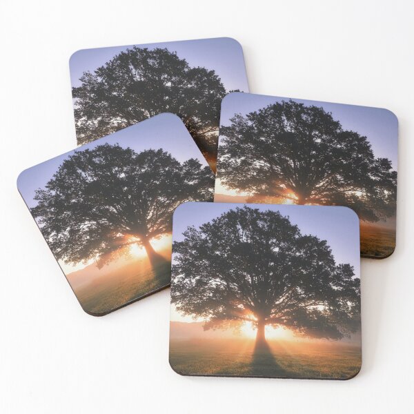 Item preview, Autumn Sunrise designed and sold by martin bullimore.