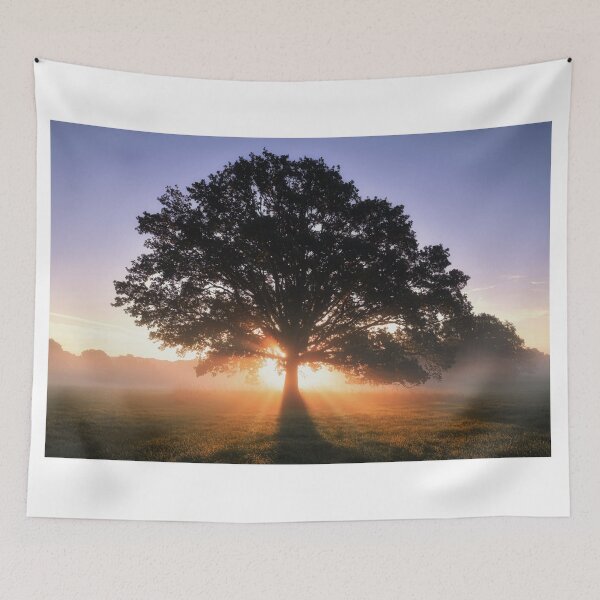 Item preview, Autumn Sunrise designed and sold by martin bullimore.