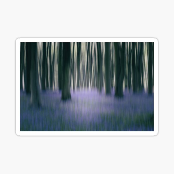 Blurred Bluebell Forest Sticker
