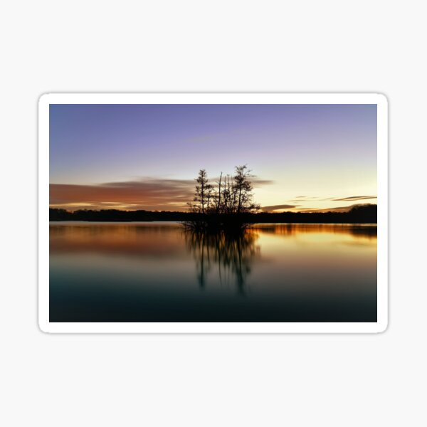 Fleet Pond - Still winter dawn Sticker