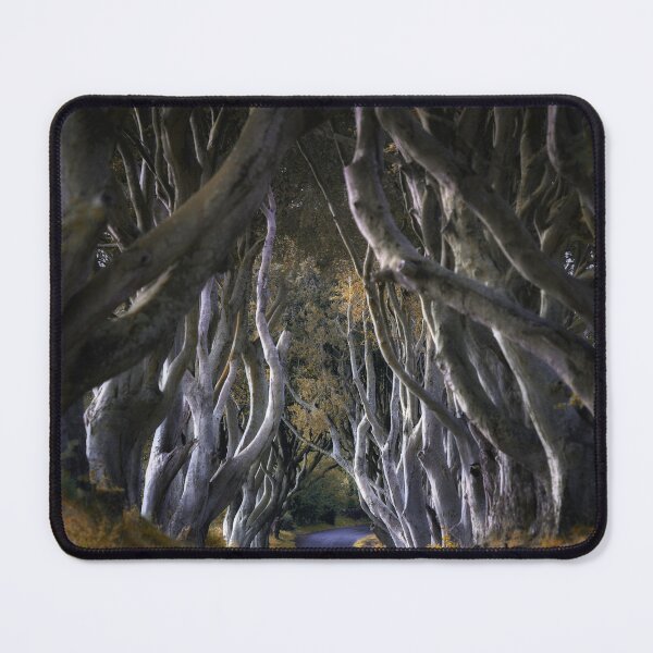 Item preview, Dark Hedges #2 designed and sold by martin bullimore.