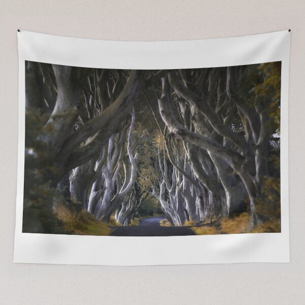 Item preview, Dark Hedges #2 designed and sold by martin bullimore.