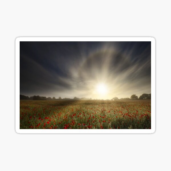 Poppy Field - Hampshire Sticker