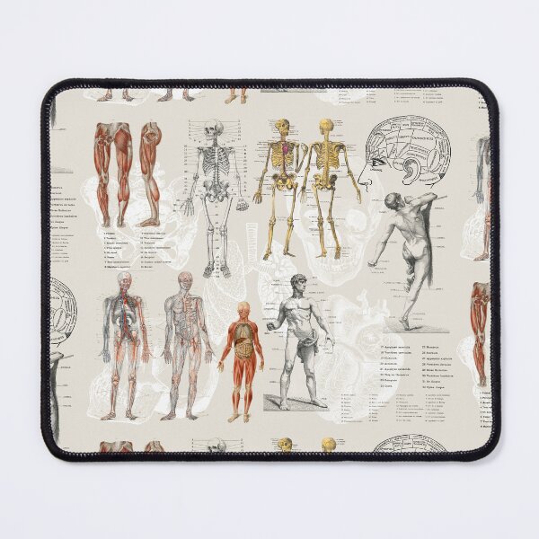 Item preview, Vintage Anatomy Biology Art Collage Pattern designed and sold by idovedesign.