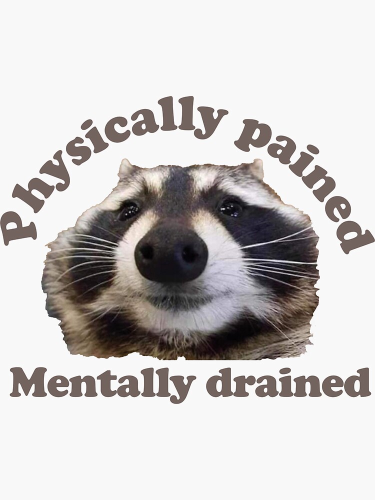 Physically pained, mentally drained racconn | Sticker