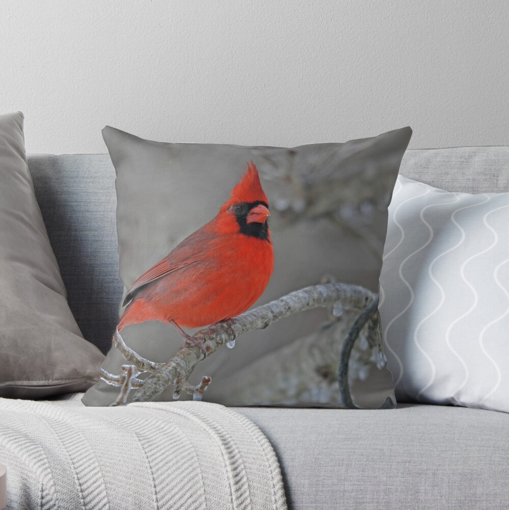 cardinal pillow pet