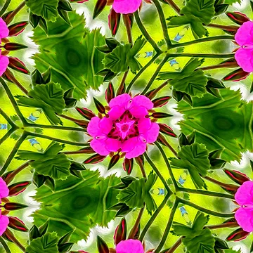 Artwork thumbnail, Peruvian Lily Pattern by Patternflower
