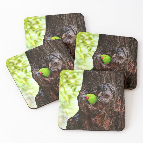 Item preview, Indian Ringneck Parakeet designed and sold by oxyten.