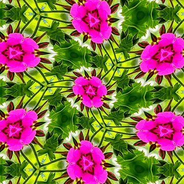 Artwork thumbnail, Peruvian Lily Pattern by Patternflower