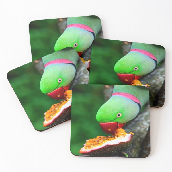 Item preview, Indian Ringneck Parakeet designed and sold by oxyten.