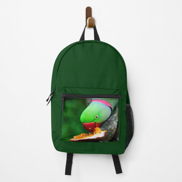 Item preview, Indian Ringneck Parakeet designed and sold by oxyten.