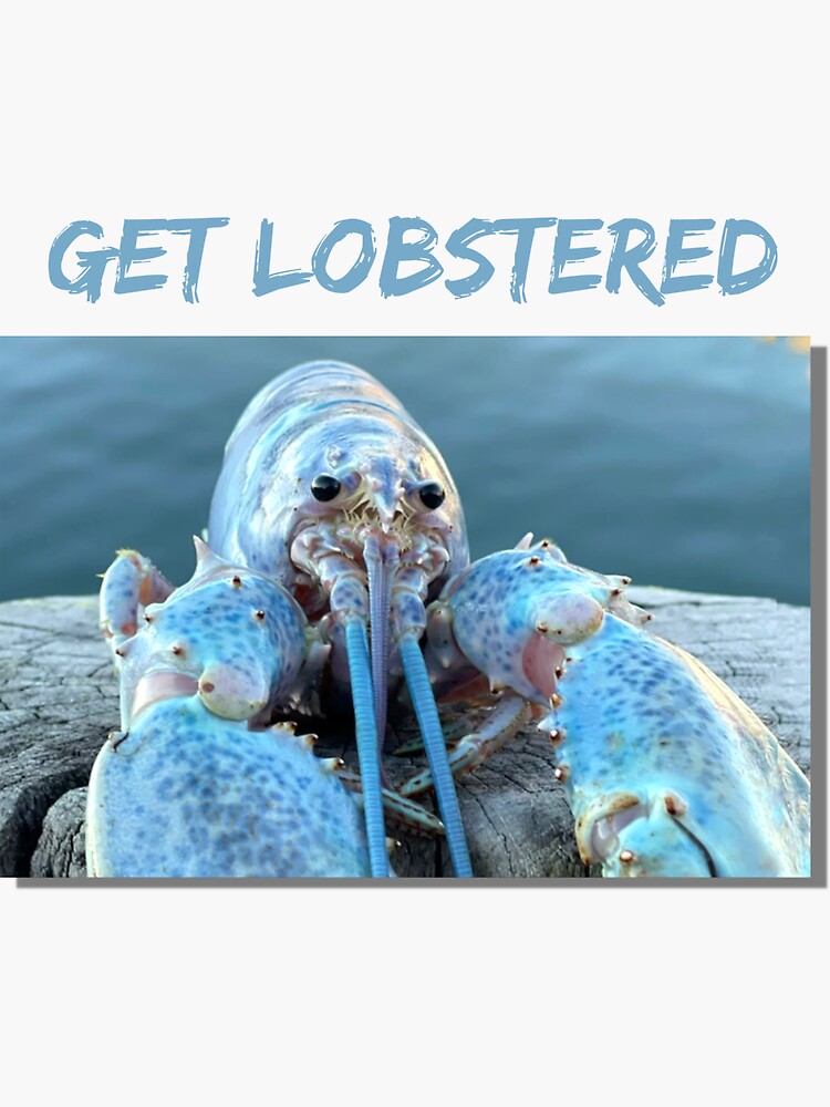 "get lobstered blue jumpscare lobster meme" Sticker for Sale by