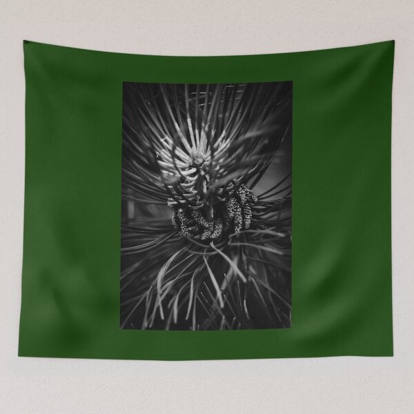 Item preview, Pine Tree Detail bw Vertical Nature Lovers designed and sold by eddiebarronshop.