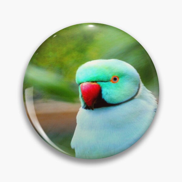 Item preview, Indian Ringneck Parakeet designed and sold by oxyten.