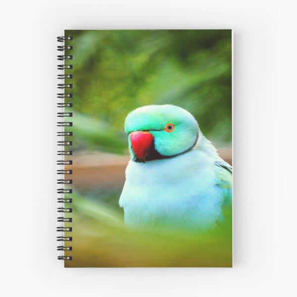 Item preview, Indian Ringneck Parakeet designed and sold by oxyten.