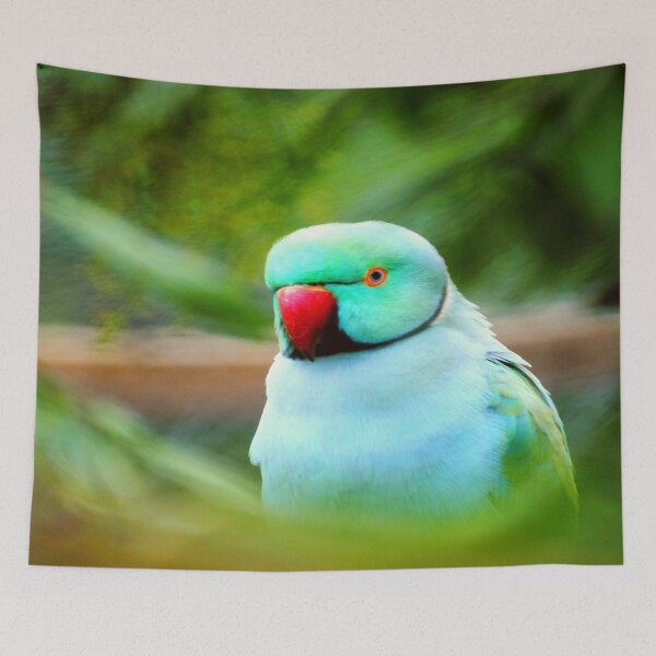 Item preview, Indian Ringneck Parakeet designed and sold by oxyten.
