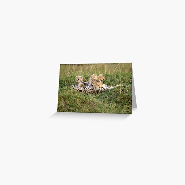 One happy cheetah family Greeting Card