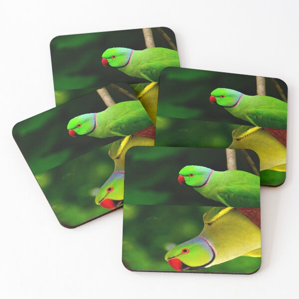 Item preview, Indian Ringneck Parakeet designed and sold by oxyten.