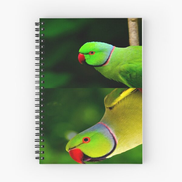 Item preview, Indian Ringneck Parakeet designed and sold by oxyten.