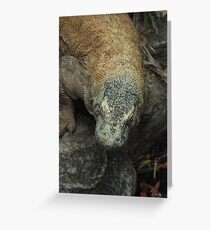 Now, Who's A Big Boy Greeting Card