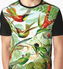 HUMMINGBIRDS; Vintage Art Print Graphic T-Shirt