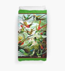 HUMMINGBIRDS; Vintage Art Print Duvet Cover