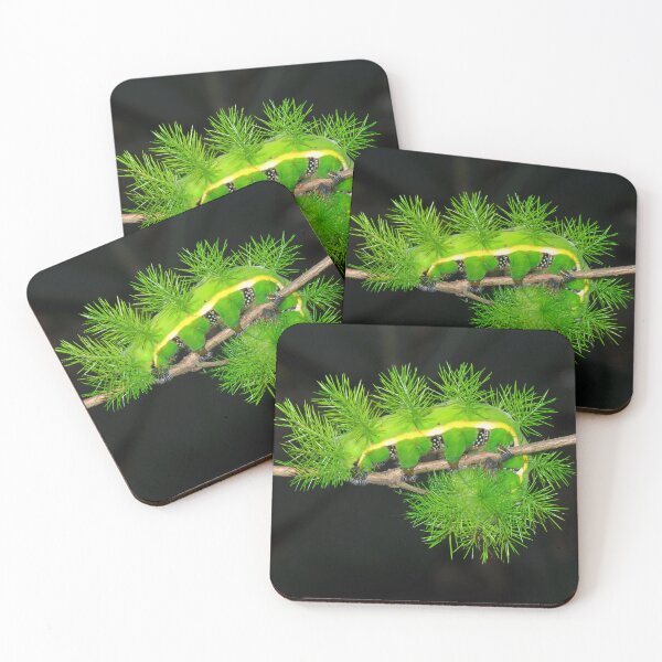Item preview, Venomous Green Caterpillar designed and sold by ReptileAmphibia.