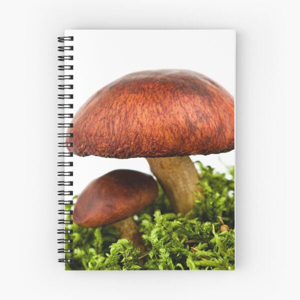 Item preview, boletus mushroom  designed and sold by Claraveritas.